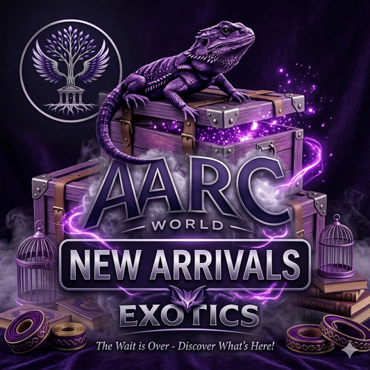 🦎 New Arrivals at Aarc World Exotics — Your Reptile Setup Just Got an Upgrade!