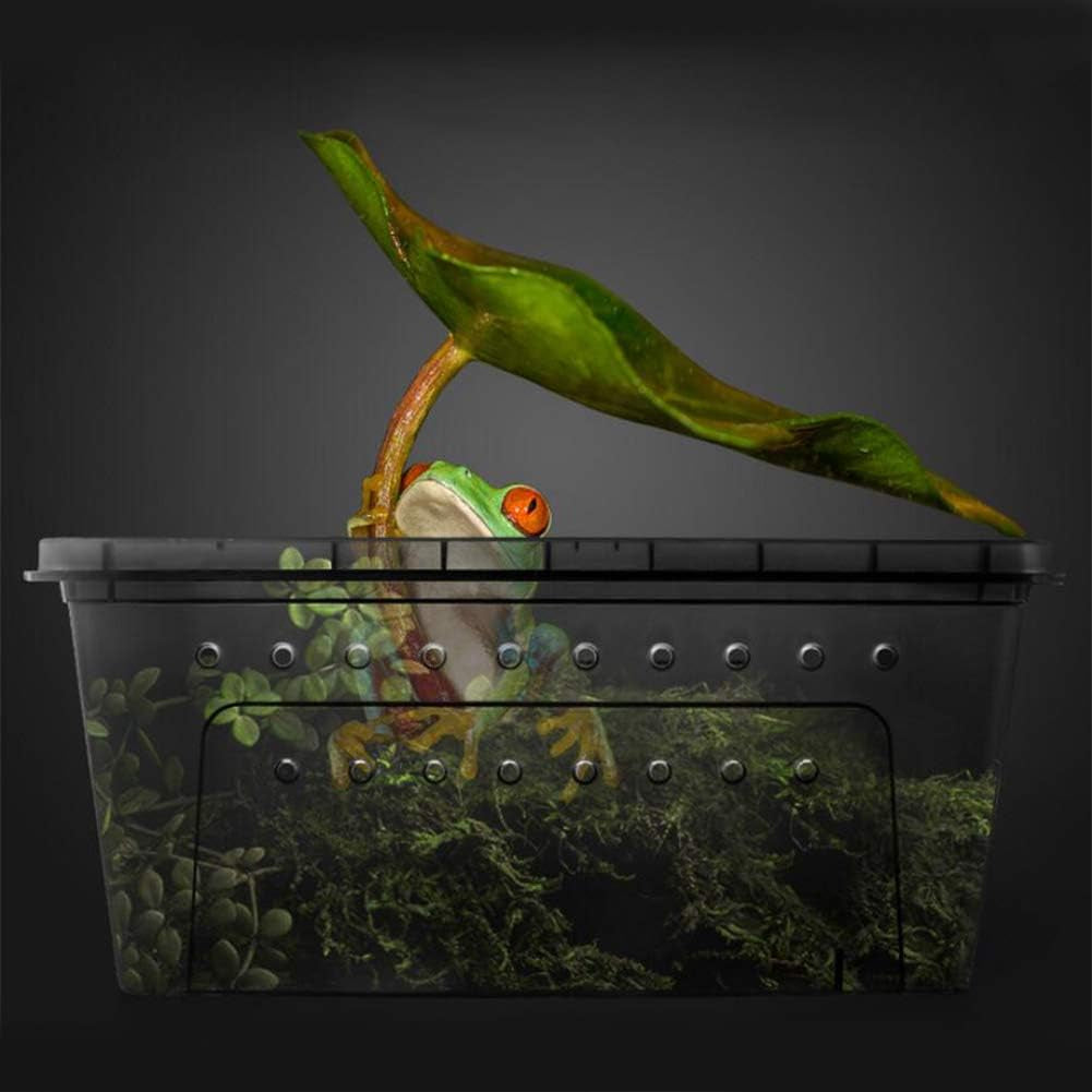 Portable Reptile Travel Enclosure