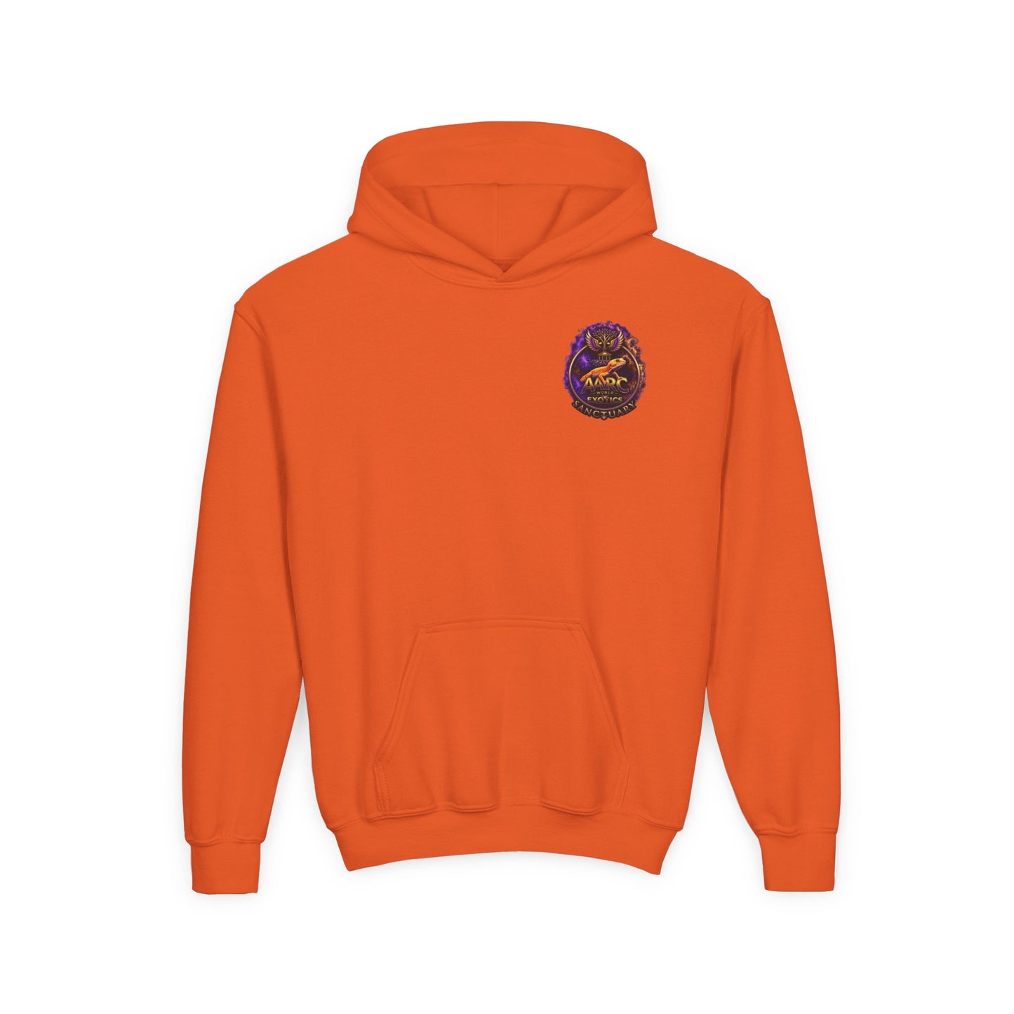 Aarc Kids Hoodie