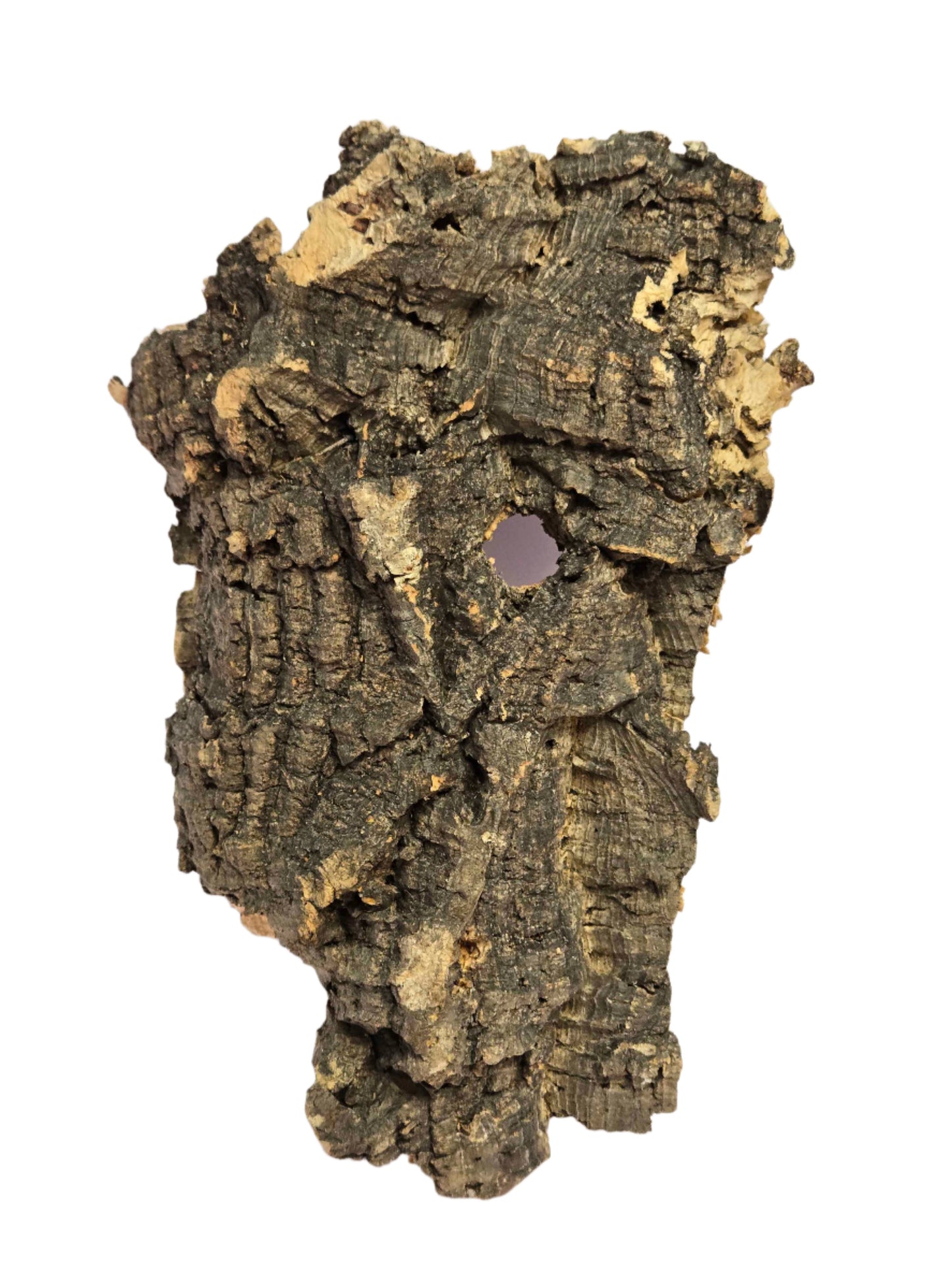 Cork Bark
