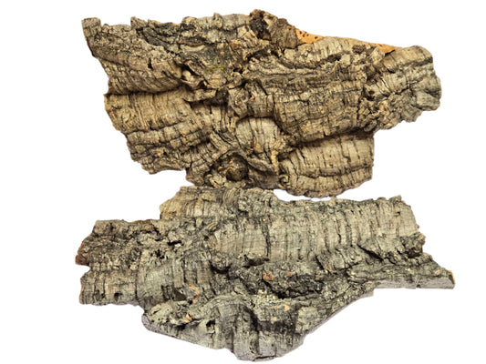 Cork Bark